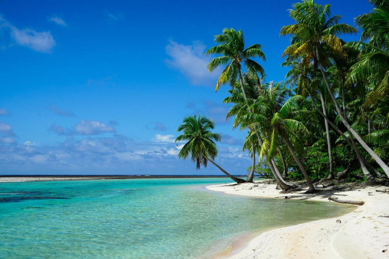 Ninamu Resort Tikehau Dış mekan fotoğraf