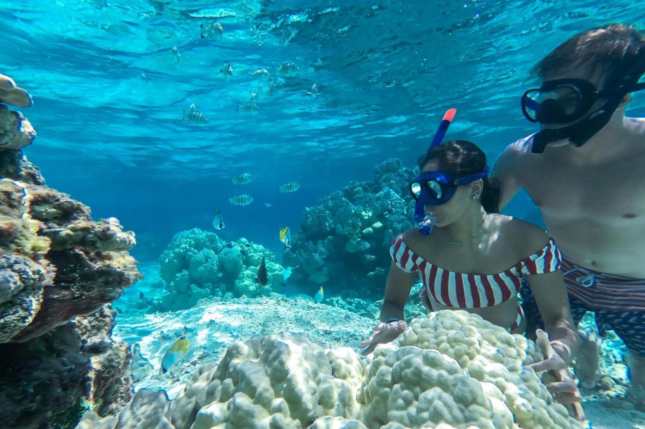 Ninamu Resort Tikehau Dış mekan fotoğraf